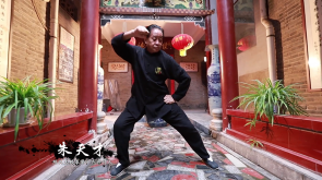 陳家溝太極朱天才